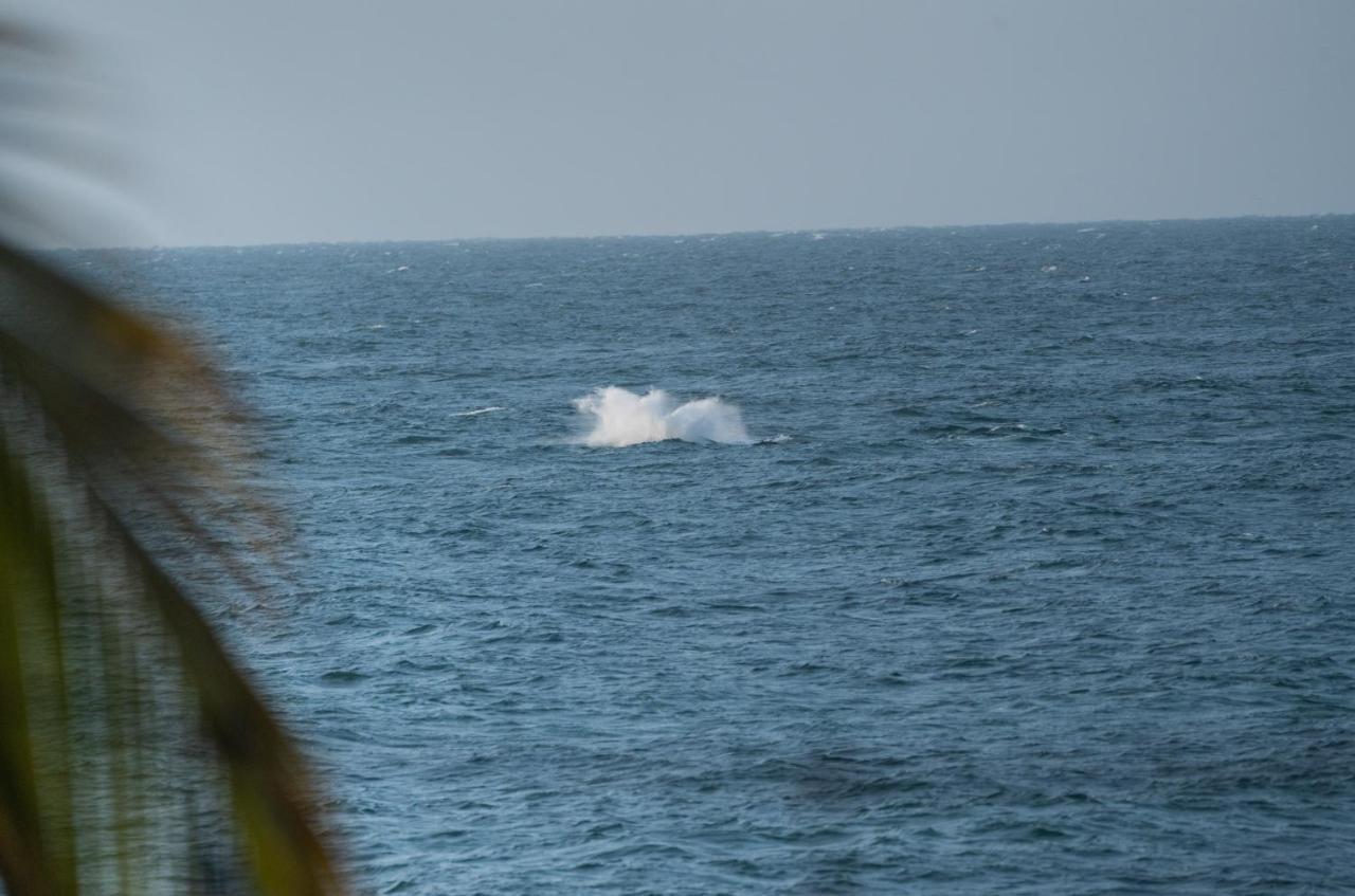 Los Corales Máncora Eksteriør billede