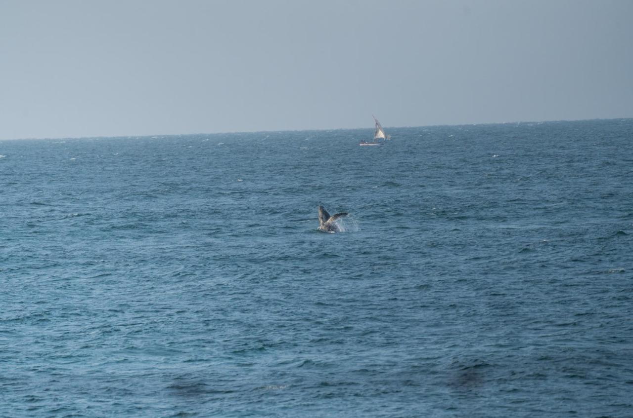 Los Corales Máncora Eksteriør billede